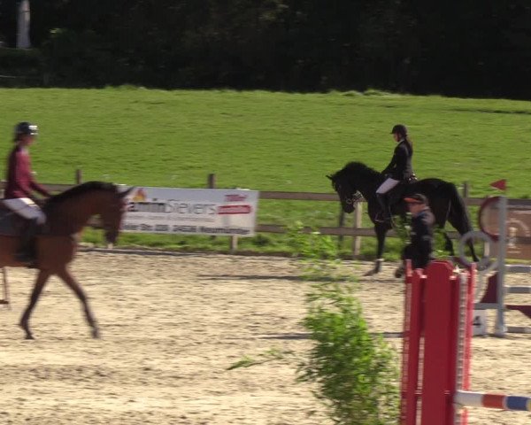 Reitturnier Loop/ Looperholz 2023