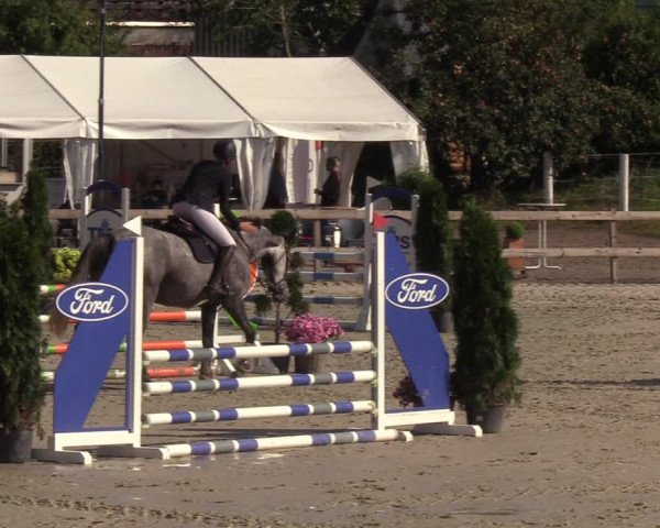Reitturnier Loop/ Looperholz 2023