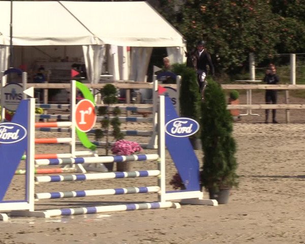 Reitturnier Loop/ Looperholz 2023