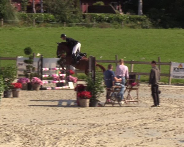 Reitturnier Loop/ Looperholz 2023