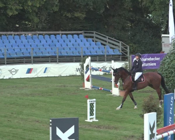 Reitturnier Scharnebeck 2023