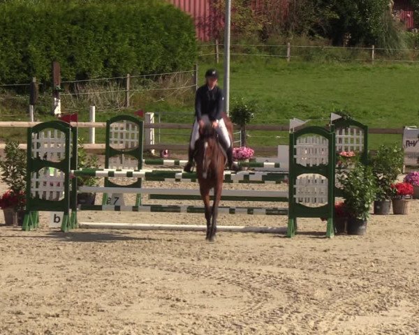 Reitturnier Loop/ Looperholz 2023