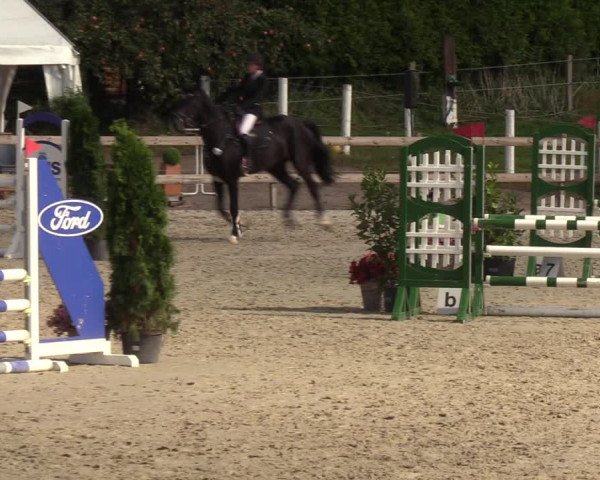 Reitturnier Loop/ Looperholz 2023