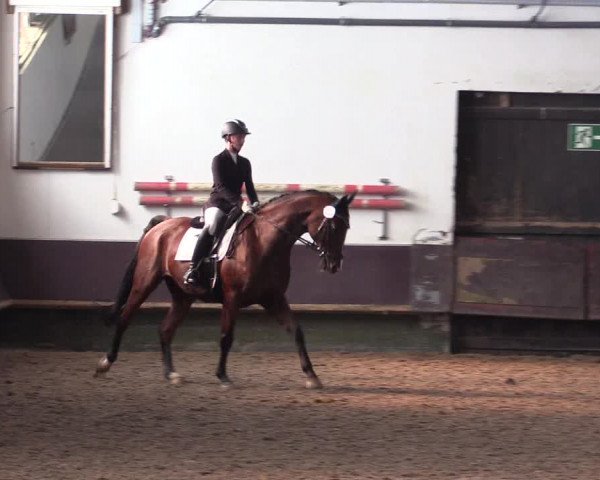 Reitturnier Albersloh 2023