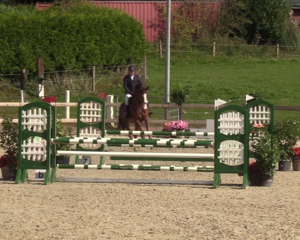 Reitturnier Loop/ Looperholz 2023