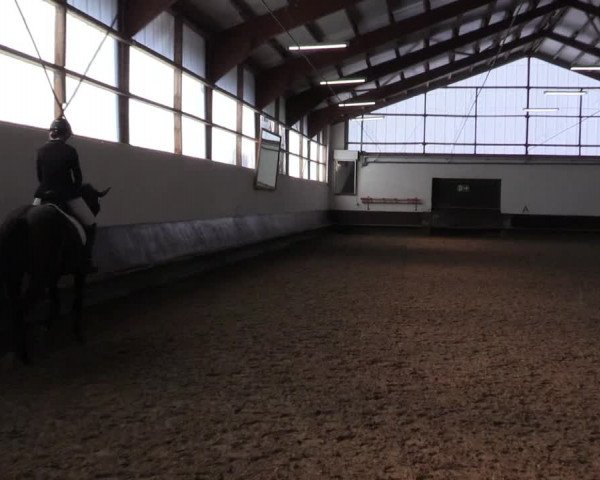 Reitturnier Albersloh 2023