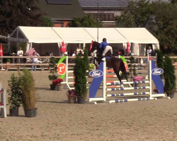Reitturnier Loop/ Looperholz 2023