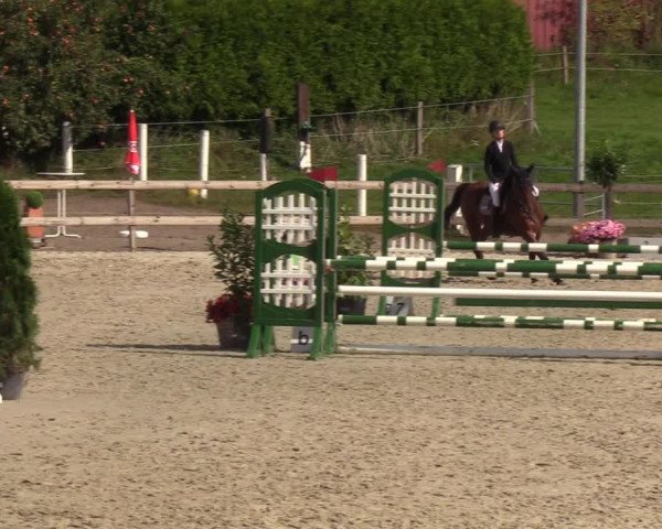 Reitturnier Loop/ Looperholz 2023