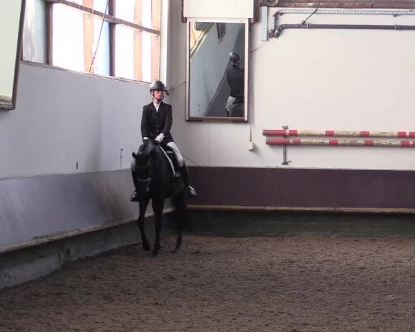 Reitturnier Albersloh 2023
