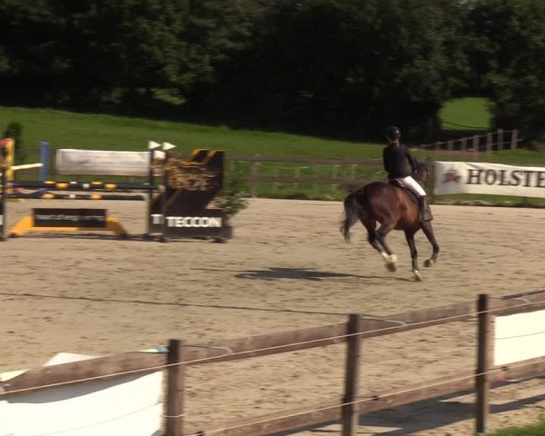 Reitturnier Loop/ Looperholz 2023