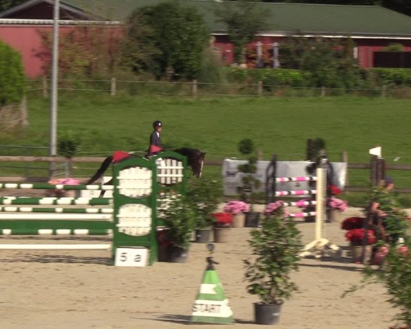 Reitturnier Loop/ Looperholz 2023