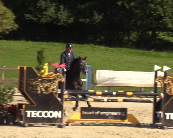 Reitturnier Loop/ Looperholz 2023