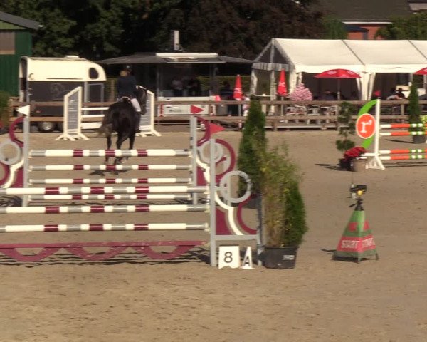 Reitturnier Loop/ Looperholz 2023