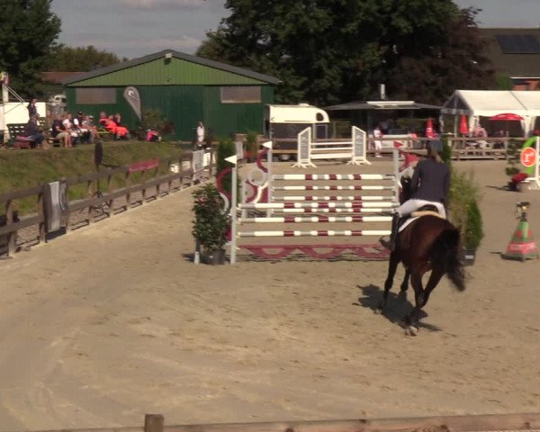 Reitturnier Loop/ Looperholz 2023