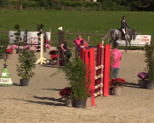 Reitturnier Loop/ Looperholz 2023