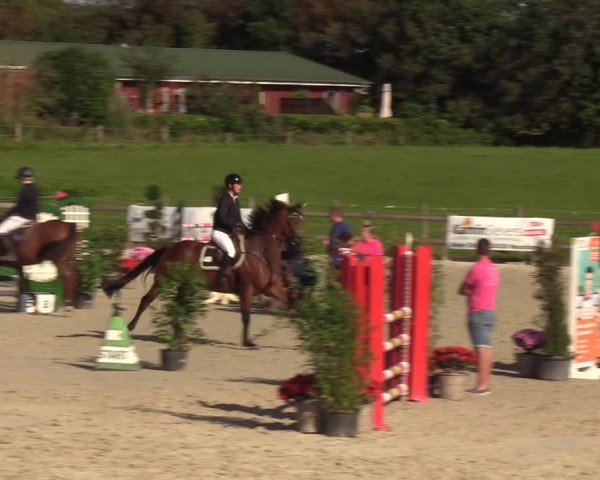 Reitturnier Loop/ Looperholz 2023