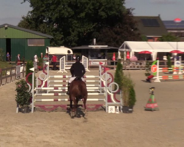 Reitturnier Loop/ Looperholz 2023