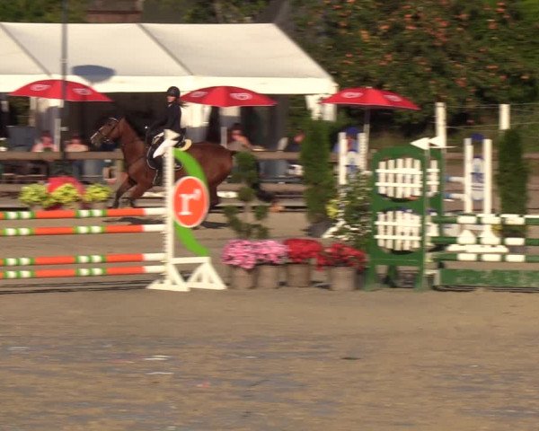 Reitturnier Loop/ Looperholz 2023
