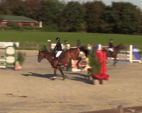 Reitturnier Loop/ Looperholz 2023
