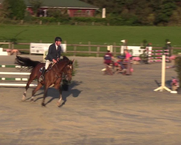 Reitturnier Loop/ Looperholz 2023