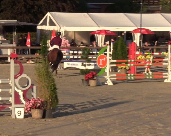 Reitturnier Loop/ Looperholz 2023