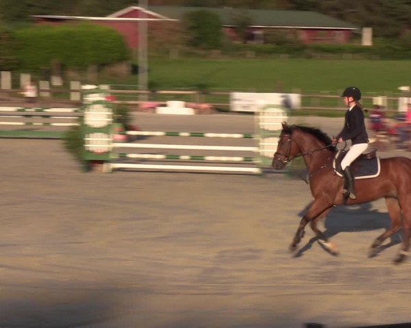 Reitturnier Loop/ Looperholz 2023