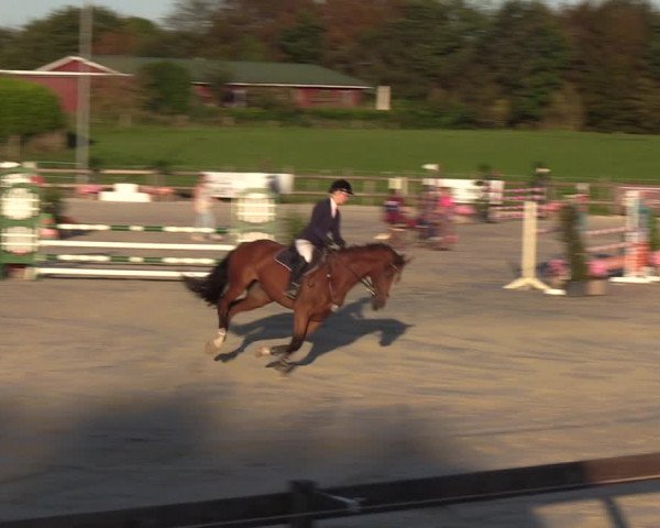 Reitturnier Loop/ Looperholz 2023