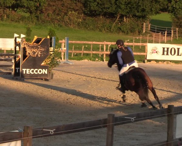 Reitturnier Loop/ Looperholz 2023