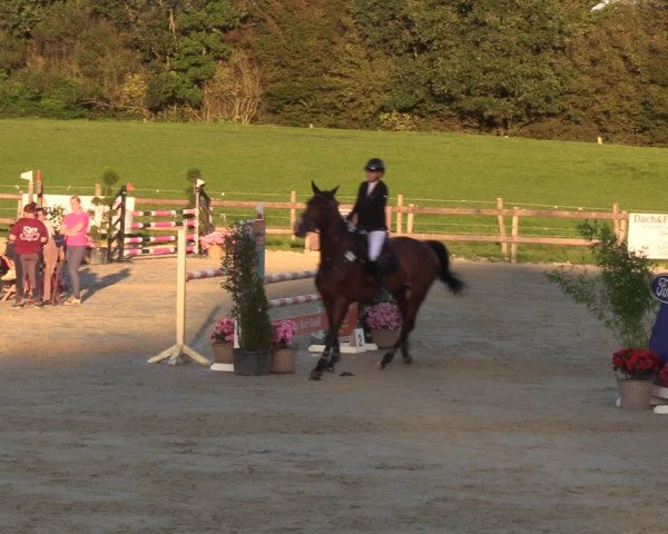 Reitturnier Loop/ Looperholz 2023