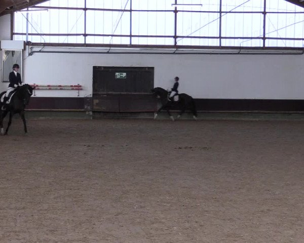 Reitturnier Albersloh 2023