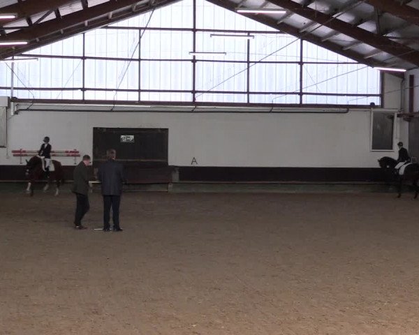 Reitturnier Albersloh 2023