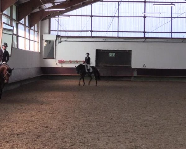 Reitturnier Albersloh 2023