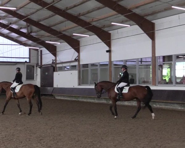 Reitturnier Albersloh 2023