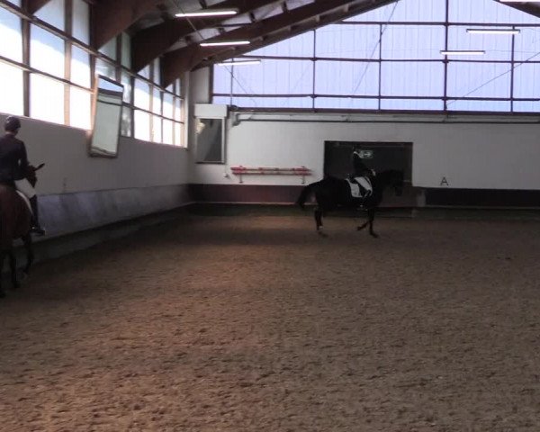 Reitturnier Albersloh 2023