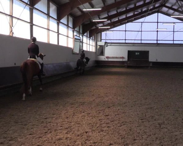 Reitturnier Albersloh 2023