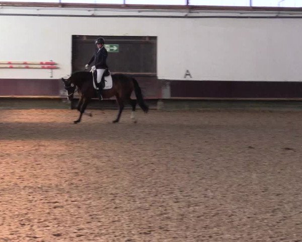 Reitturnier Albersloh 2023