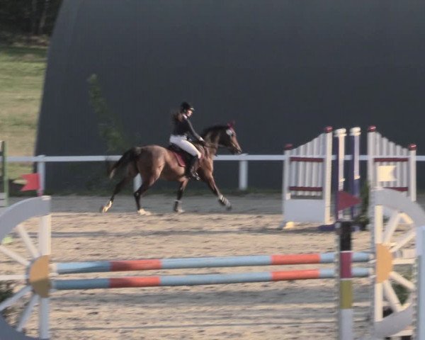 Reitturnier Bad Schmiedeberg 2023