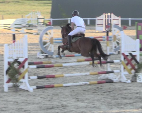 Reitturnier Bad Schmiedeberg 2023