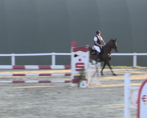 Reitturnier Bad Schmiedeberg 2023