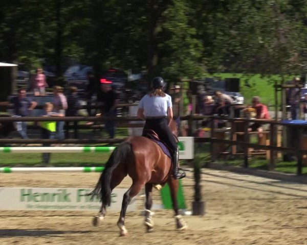 Reitturnier Albersloh 2023