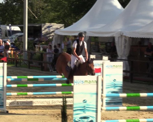 Reitturnier Albersloh 2023