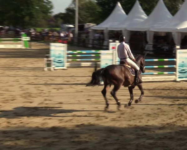 Reitturnier Albersloh 2023