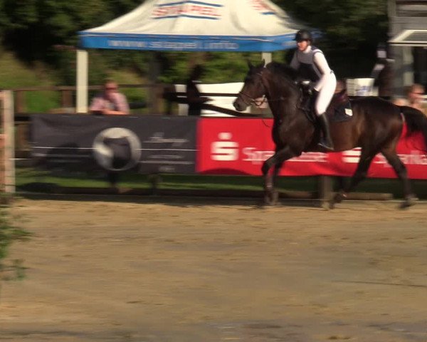 Reitturnier Albersloh 2023