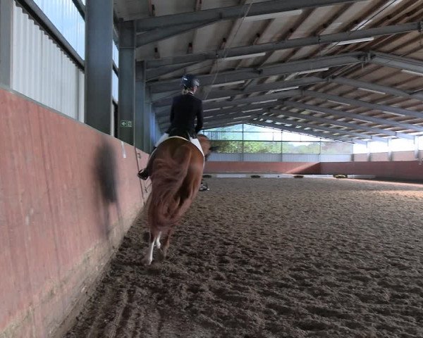 Reitturnier Marl, Hof Ostgathe 2023