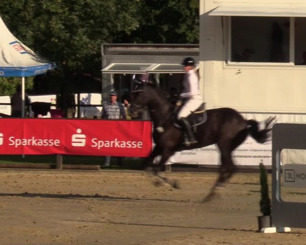 Reitturnier Albersloh 2023