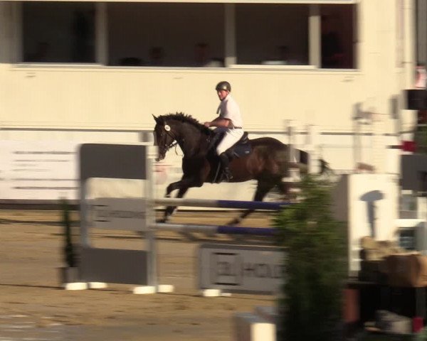 Reitturnier Albersloh 2023
