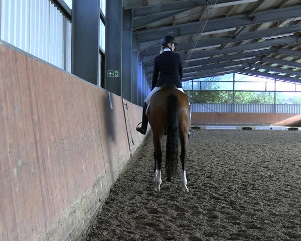 Reitturnier Marl, Hof Ostgathe 2023