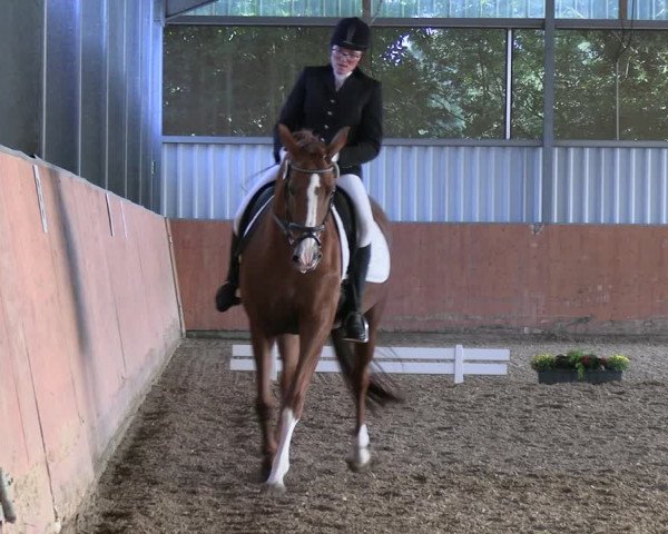 Reitturnier Marl, Hof Ostgathe 2023