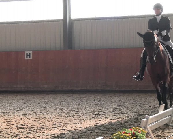 Reitturnier Marl, Hof Ostgathe 2023