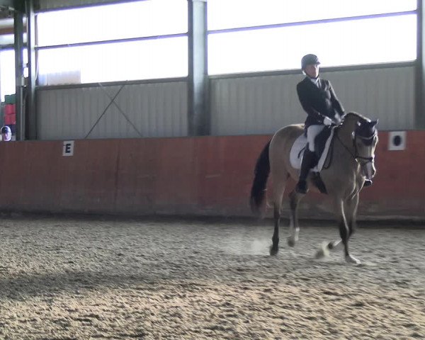 Reitturnier Marl, Hof Ostgathe 2023